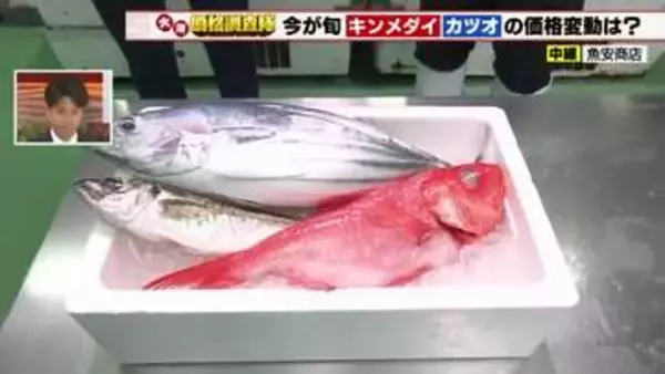 キンメダイ需要高まり70円値上がり　カツオは漁獲量増え70円値下がり　アジは変わらず