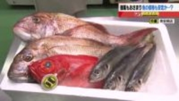 アジの仕入れ価格は1匹500円の大幅値下がりで店頭価格800円に　強風が収まり漁獲量アップ