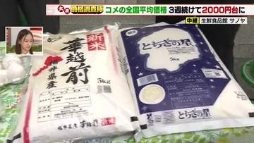 新米“値下がり”販売価格5キロ2463円　卵「月見需要」落ち着くも年末へ需要高まり仕入れ価格上昇