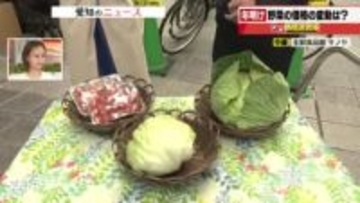 キャベツ・レタス・ミニトマトの仕入れ価格が値下がり　年末年始の需要が収まり出荷が安定