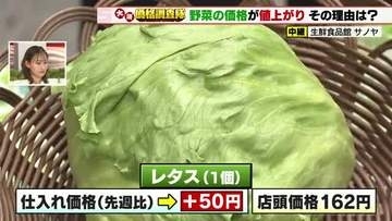 レタスは例年並みで先週より50円アップ！カボチャは9月に国産出てくるまで高値続くか…