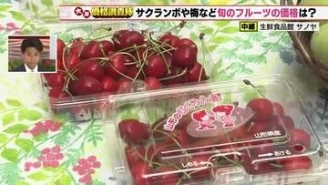 初入荷の南高梅は生育不足で高めの価格　モモは出荷量増えず前の週と価格変わらず