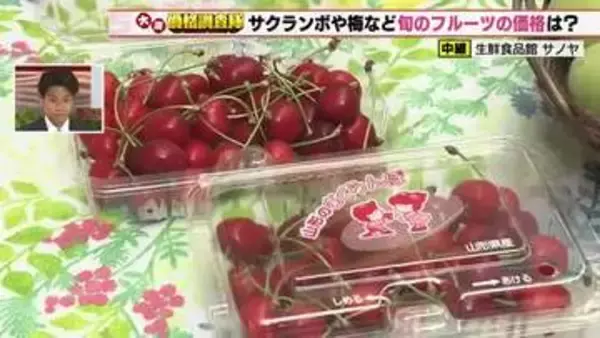 初入荷の南高梅は生育不足で高めの価格　モモは出荷量増えず前の週と価格変わらず