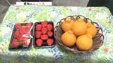 「イチゴの仕入れ価格は1パック100円値下がり　寒波を抜けて出荷量増で安定　デコポンは1個10円安く」の画像1