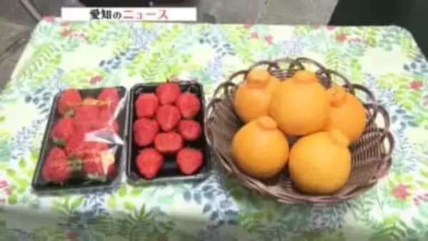 イチゴの仕入れ価格は1パック100円値下がり　寒波を抜けて出荷量増で安定　デコポンは1個10円安く