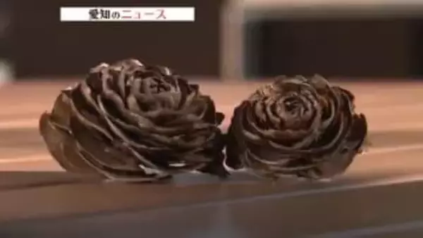 落ちていたら争奪戦　ラッキーな「松ぼっくり」の正体　バラに似ていたヒマラヤスギの松ぼっくくり