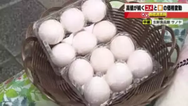 コメの価格2週連続で値下がり　田植えシーズンを前に「高い在庫」を早めに売り切りたい　販売店の思惑