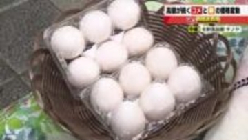 コメの価格2週連続で値下がり　田植えシーズンを前に「高い在庫」を早めに売り切りたい　販売店の思惑