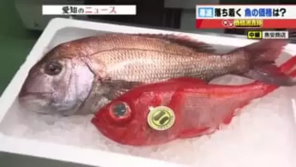 キンメダイは230円、マダイは150円、100グラムあたりの仕入れ価格値下がり　天候安定で漁獲量回復