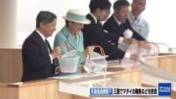 天皇皇后両陛下　三重県でイセエビの稚エビを放流　「全国豊かな海づくり大会」に臨席