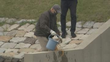 「基地の中に汚染源があると容易に想像」　アメリカ軍基地近くでＰＦＡＳ調査　市民団体が４回目の採水　山口・岩国
