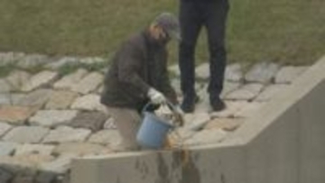 「基地の中に汚染源があると容易に想像」　アメリカ軍基地近くでＰＦＡＳ調査　市民団体が４回目の採水　山口・岩国