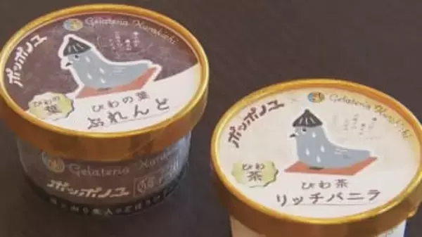 海峡温泉で「びわの葉」「びわ茶」　風呂上がりにユニークなアイスを　山口・上関町