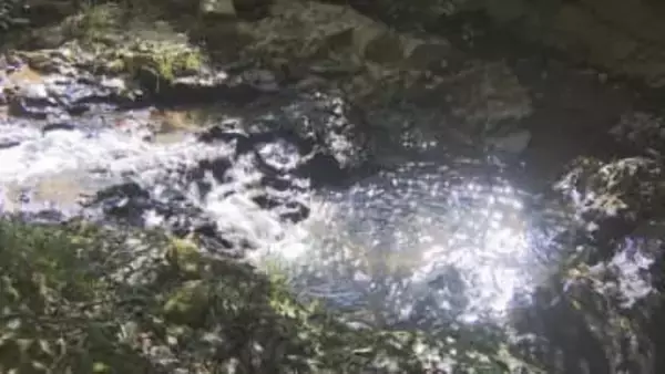 地域の魅力を知ってほしい　自然楽しむウオークラリー