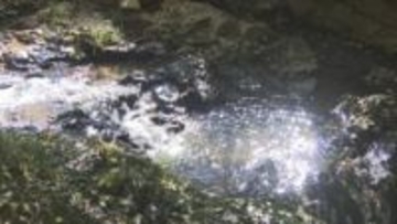 地域の魅力を知ってほしい　自然楽しむウオークラリー