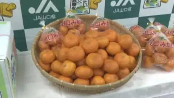 ミカンを食べて元気に ＪＡが福祉施設に10キロの”山口みかん”贈呈　山口・萩