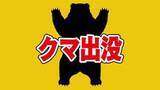 「会社の敷地内に座っているクマ（体長約1.5メートル）を目撃　山口・萩」の画像1