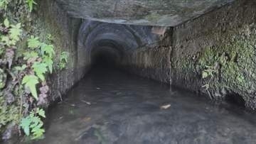 江戸時代1689年に完成！今も使われる用水路「地元の誇りみたいな感じ」中学生が歴史学ぶ