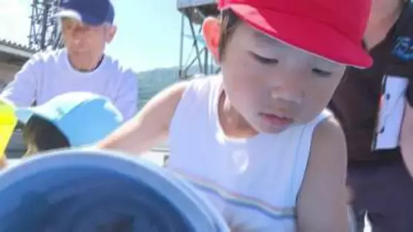 園児がカサゴの稚魚放流「大きくなってね」ふるさとの海を豊かに