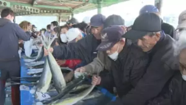 「車中泊をしてわざわざこのために」市価の2割以上安い　11月3日恒例の朝市　定置網漁の魚を即売