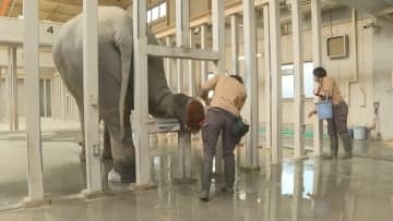 動物の健康を守る獣医師と飼育員　仕事を紹介する企画展開催中　徳山動物園　山口・周南