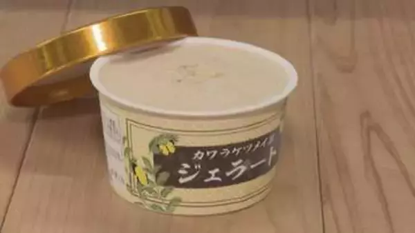特産のカワラケツメイ茶がスイーツになって登場「カワラケツメイ茶ジェラート」　山口
