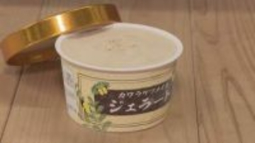 特産のカワラケツメイ茶がスイーツになって登場「カワラケツメイ茶ジェラート」　山口