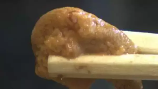 山口県民のソウルフード“どんどん”限定販売「うにごはん」大盛況！だしがら昆布を餌に養殖したウニを使用