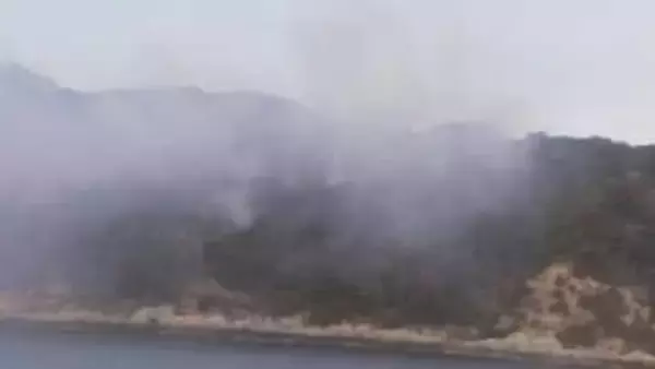 18時間たっても鎮圧のめど立たず　無人島「仙島」の山林火災　消火活動続く　山口・周南