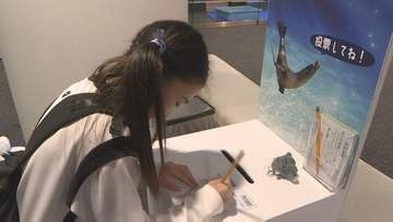 開館25周年　海響館でニコニコ（2525）総選挙　来館者を笑顔にする生き物の人気投票　山口・下関