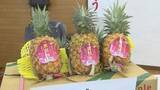 「芯まで食べられる台湾産パイナップル　児童養護施設に寄贈　山口」の画像1