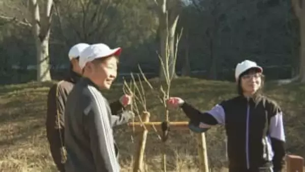 卒業を前に小学6年生がサクラを記念植樹　ダムのほとりに思い出刻む　山口・周南