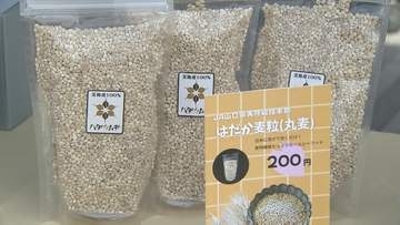 生徒が考案のコロッケやワッフルを販売　はだか麦の消費拡大を目指す　山口・美祢