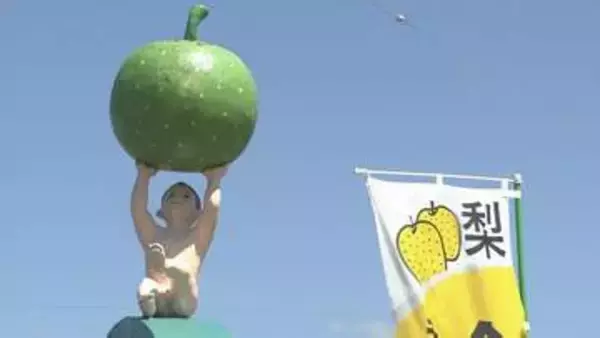 厳しい夏乗り越え甘み十分！山口特産「秋芳梨」の出荷開始　山口