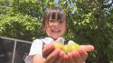 「初夏の風物詩「梅ちぎり」　園児が梅の実を収穫　山口・防府」の画像1