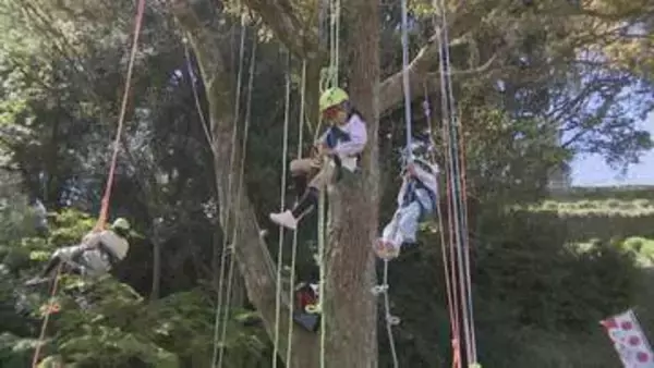 太陽光で発電した電気を活用してイベント開催　地球環境を考える「アースデイやまぐち」