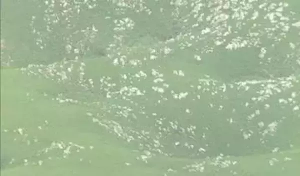 Mine秋吉台ジオパークが『ユネスコ世界ジオパーク』に認定　山口・美祢