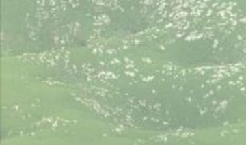 Mine秋吉台ジオパークが『ユネスコ世界ジオパーク』に認定　山口・美祢