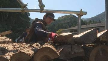 循環型社会へ林業と福祉が連携　障害者がまき割り　間伐材活用し温泉施設燃料に　山口・阿武町