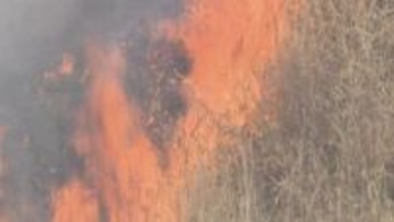 山焼きで男性1人死亡…市長「市民の命を守れなかったことは痛恨の極み」原因究明へ検証進める　山口・美祢