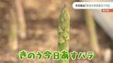 「「きのうもきょうもあすも飽きずにおいしく食べられるように」　地元産の野菜”きのう今日あすパラ”をＰＲ　山口」の画像1