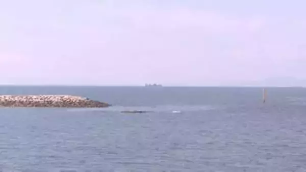 本山岬の北西1.6キロ　漁船が転覆　70代男性が死亡　山口・山陽小野田