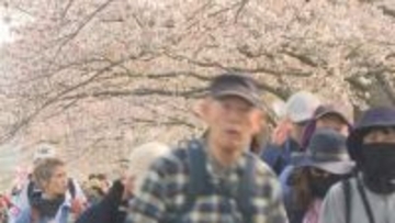 サクラ満開　春を感じて　幕末の志士の足跡たどる　9500人がエントリー　山口・下関