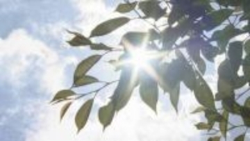 山口県内で今シーズン初の真夏日　山口で30.5度　大気不安定で東部ではひょうも