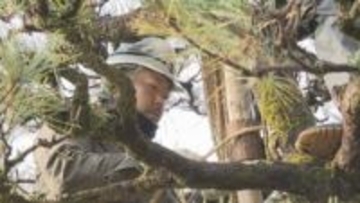 ｢風情がある｣ 松を雪の重さから守る 香山公園の”雪吊り”作業始まる　山口