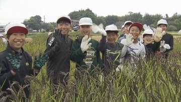 児童が田んぼアート「すごく楽しい」描き出されたのは“2026”の数字