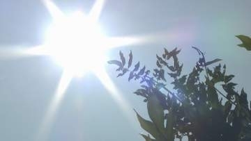 【1か月予報】全国的に気温は高い見通し、西日本日本海側の降水量は平年並みか少なく…全国40地点の16日予報も（気象庁）