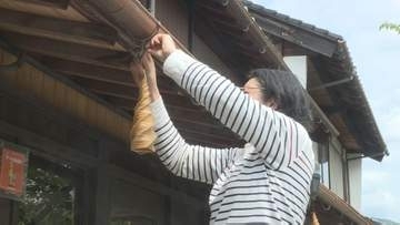まもなく迎えるホタルの季節　名所の一の坂川周辺の軒下に「蛍かご」設置　山口