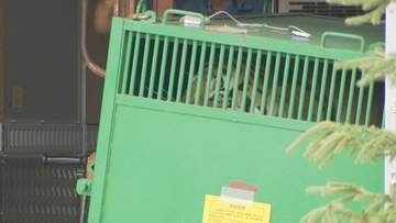 徳山動物園に雄のアムールトラが仲間入り　新エリアで９月１７日から公開　山口