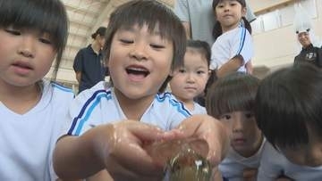 園児は大興奮　幼稚園に生きた「須佐男命いか」　ブランド化推進委がプレゼント　山口・萩